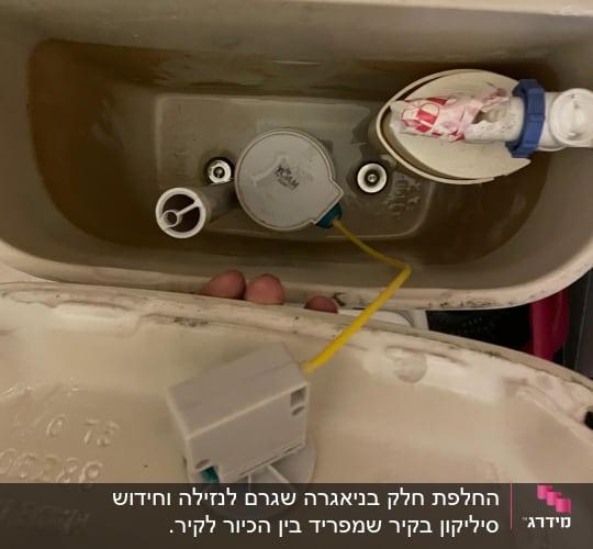 ניאגרה